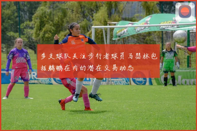多支球队关注步行者球员马瑟林包括鹈鹕在内的潜在交易动态