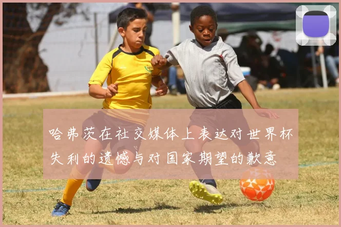 哈弗茨在社交媒体上表达对世界杯失利的遗憾与对国家期望的歉意