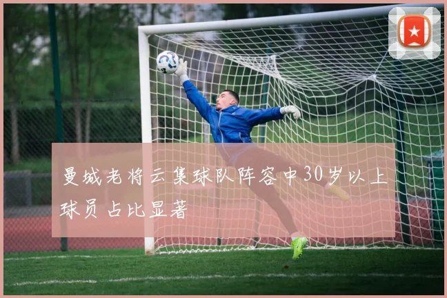 曼城老将云集球队阵容中30岁以上球员占比显著